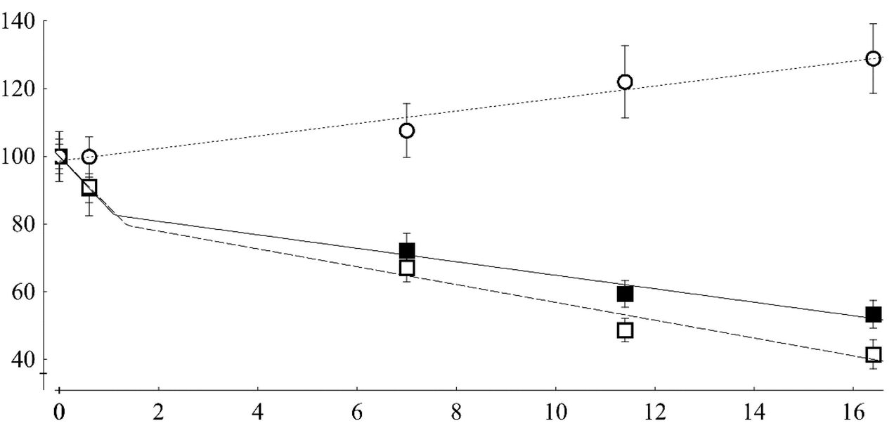 Ketogenic diet renderings